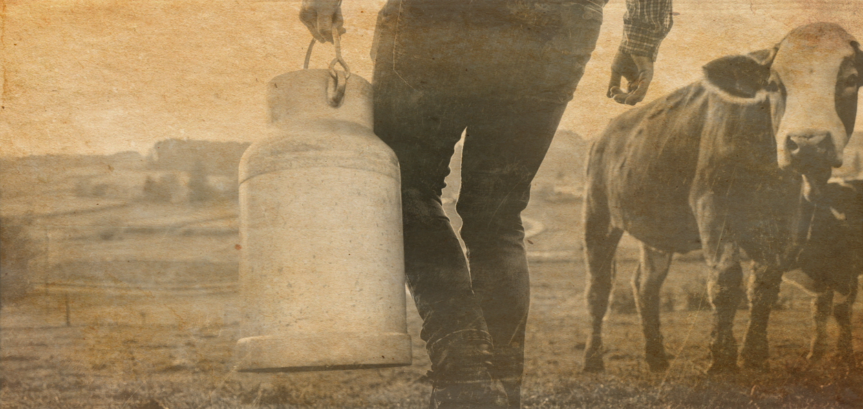 Flying-Lessons-milking-the-cows
